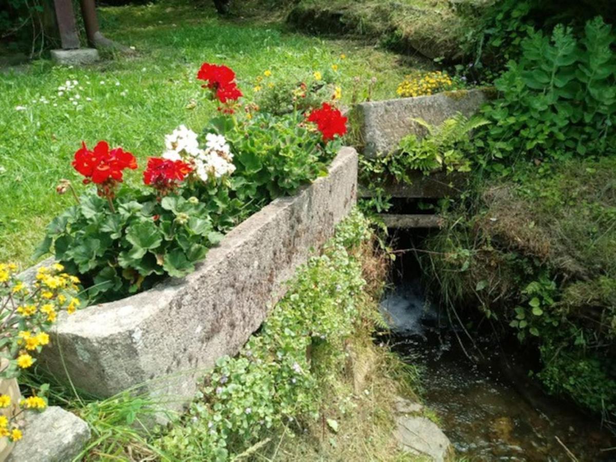 RaskovChaloupka Na Konci Sveta别墅 外观 照片